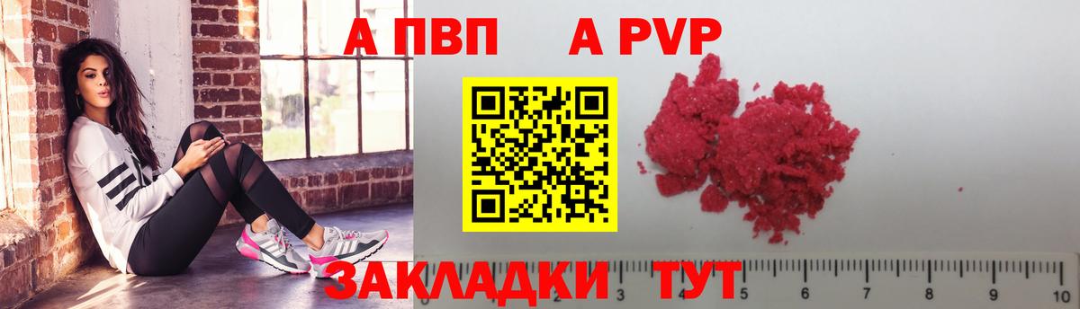 A PVP СК КРИС Луга